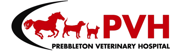 Prebbleton Veterinary Hospital