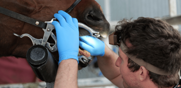 Untitled design - 2025-10-22T031956.031