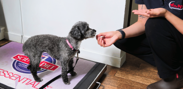 Untitled design - 2025-10-22T053908.177