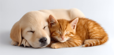 Untitled design - 2025-10-14T013239.993