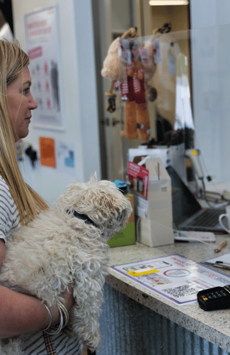 Untitled (325 x 500 px) (1)