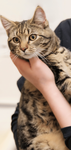 Untitled design - 2025-10-22T024404.985