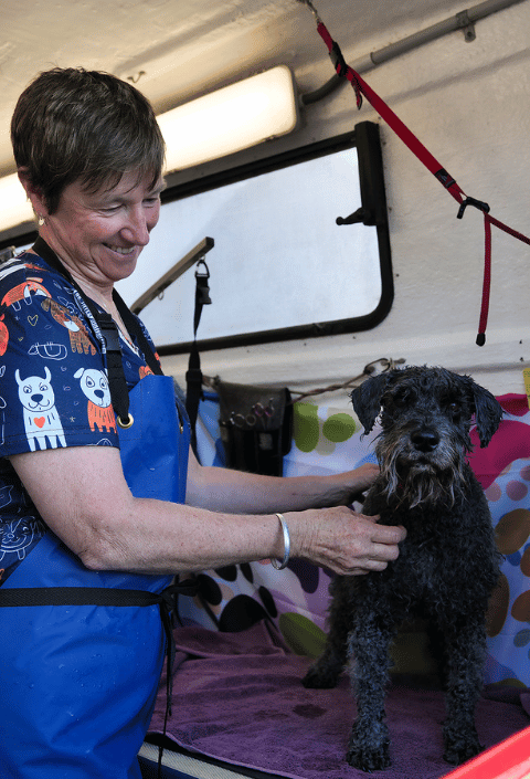 Untitled design - 2025-10-22T025705.770