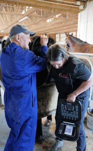 Untitled design - 2025-10-23T022902.008